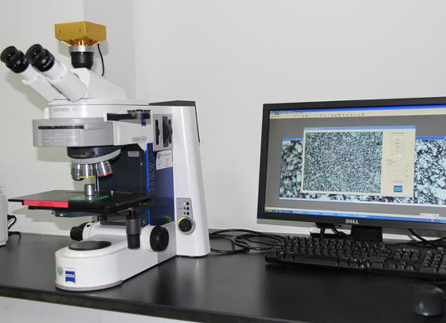 Metallographic analyzer (microscope)